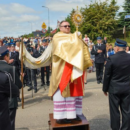 Wyświetl org. rozmiar