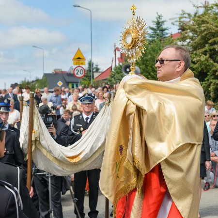 Wyświetl org. rozmiar