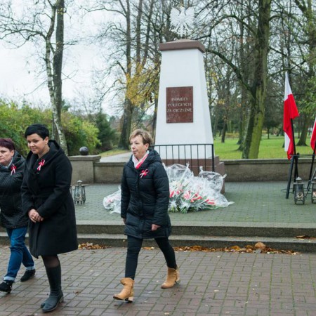 Wyświetl org. rozmiar