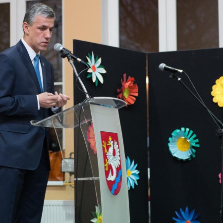 Wyświetl org. rozmiar