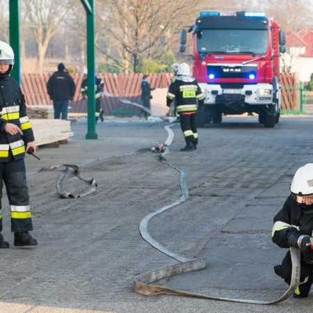 Wyświetl org. rozmiar