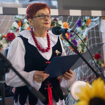 Wyświetl org. rozmiar