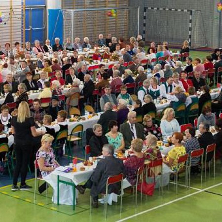 Wyświetl org. rozmiar