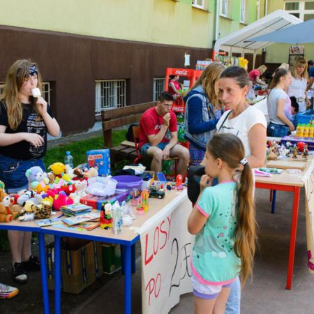 Wyświetl org. rozmiar