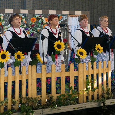 Wyświetl org. rozmiar