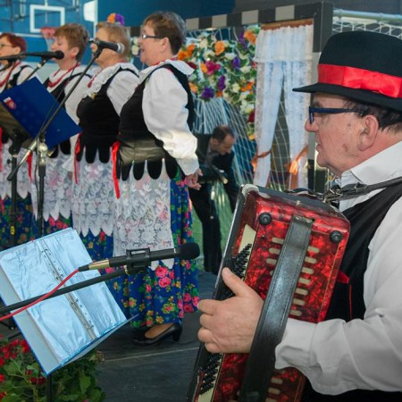 Wyświetl org. rozmiar