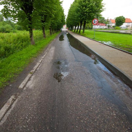 Wyświetl org. rozmiar