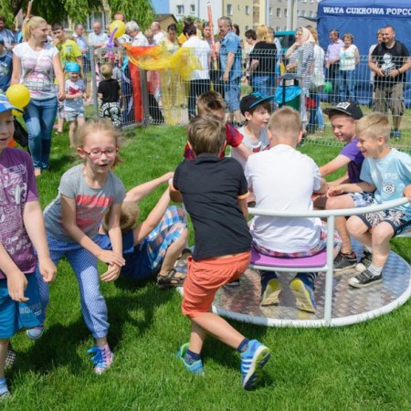 Wyświetl org. rozmiar
