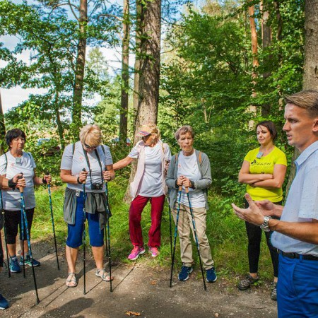 Wyświetl org. rozmiar