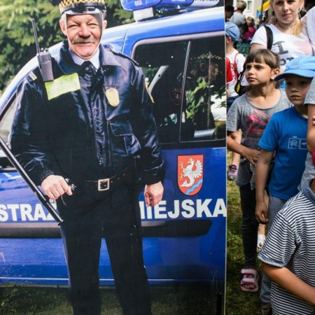 Wyświetl org. rozmiar