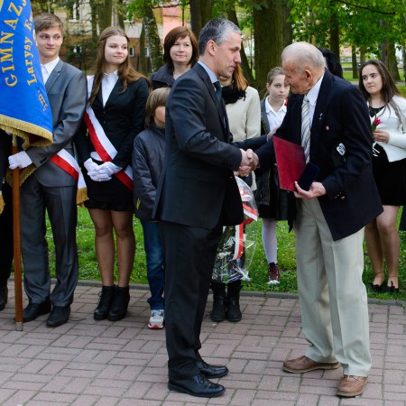 Wyświetl org. rozmiar