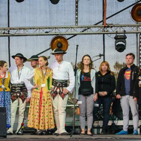 Wyświetl org. rozmiar