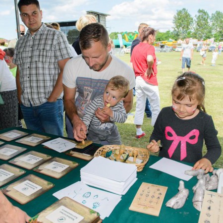 Wyświetl org. rozmiar