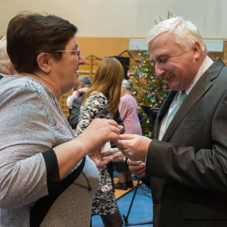 Wyświetl org. rozmiar