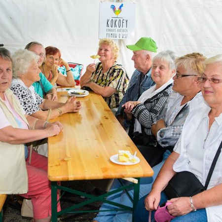 Wyświetl org. rozmiar
