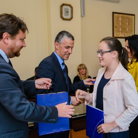 Wyświetl org. rozmiar