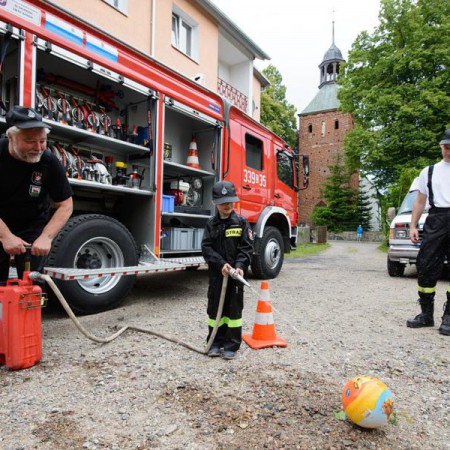 Wyświetl org. rozmiar