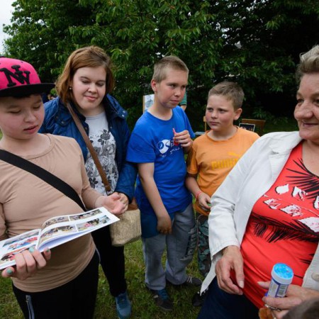 Wyświetl org. rozmiar