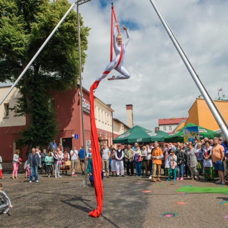 Wyświetl org. rozmiar