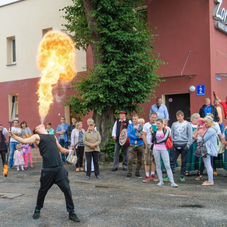 Wyświetl org. rozmiar