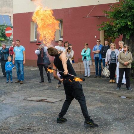 Wyświetl org. rozmiar