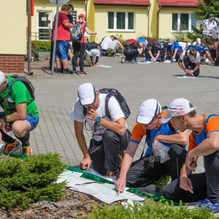 Wyświetl org. rozmiar
