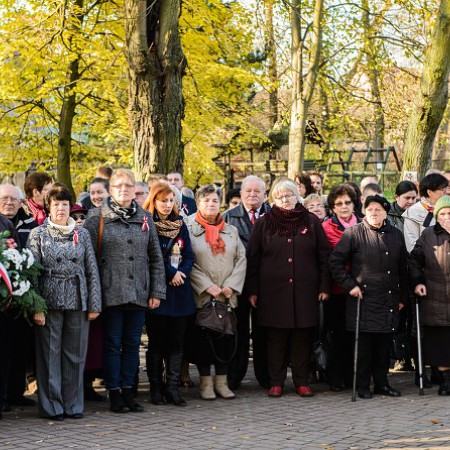 Wyświetl org. rozmiar