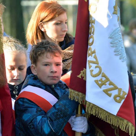 Wyświetl org. rozmiar