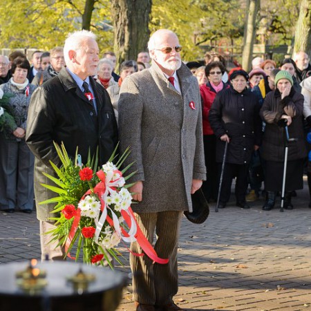 Wyświetl org. rozmiar