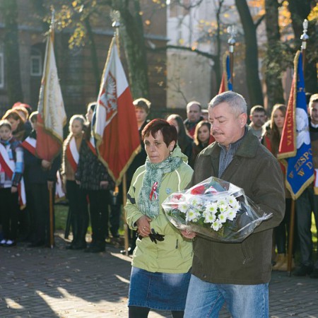 Wyświetl org. rozmiar
