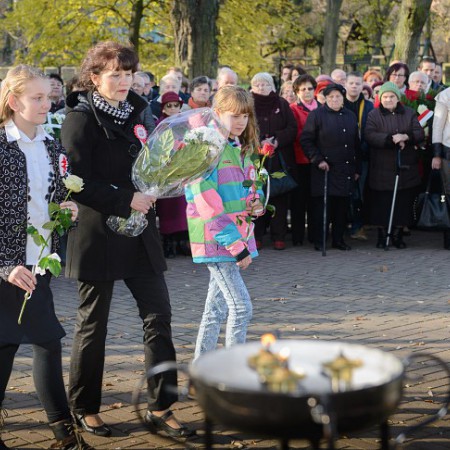 Wyświetl org. rozmiar
