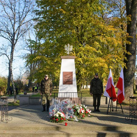Wyświetl org. rozmiar