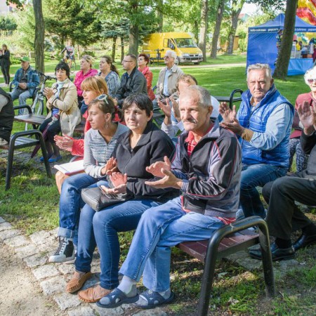 Wyświetl org. rozmiar