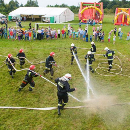 Wyświetl org. rozmiar