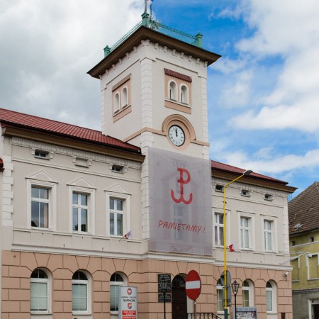 Wyświetl org. rozmiar