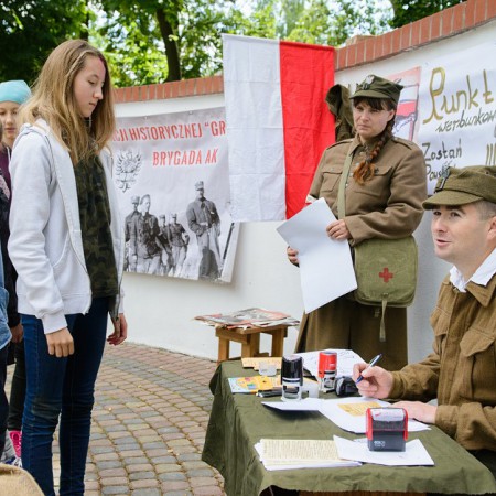 Wyświetl org. rozmiar