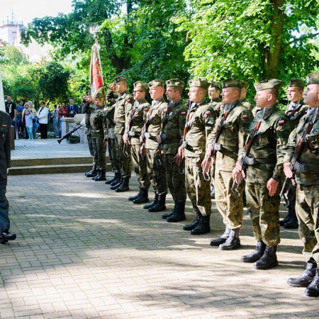 Wyświetl org. rozmiar