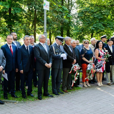 Wyświetl org. rozmiar