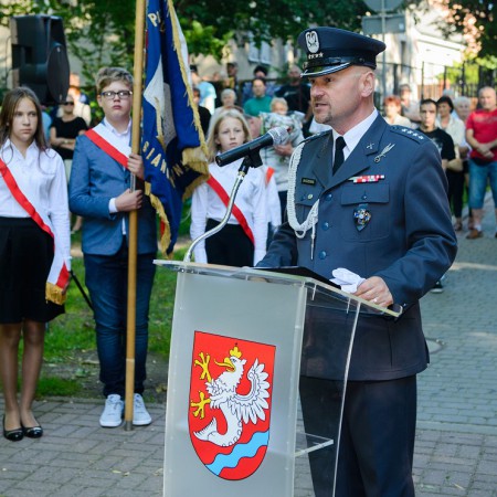 Wyświetl org. rozmiar