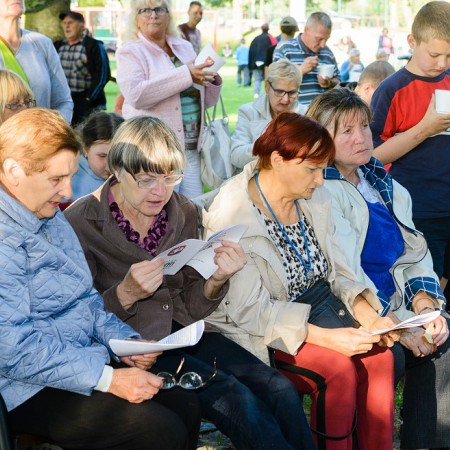 Wyświetl org. rozmiar