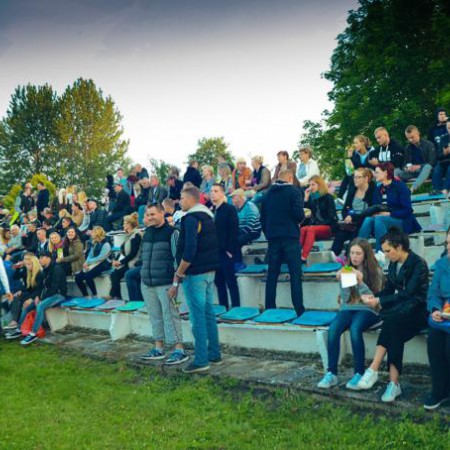 Wyświetl org. rozmiar