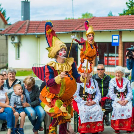 Wyświetl org. rozmiar