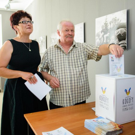 Wyświetl org. rozmiar
