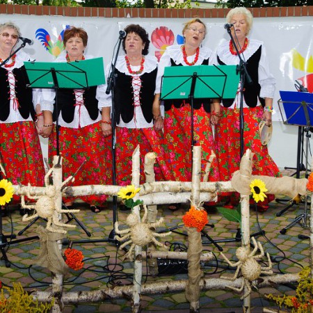 Wyświetl org. rozmiar