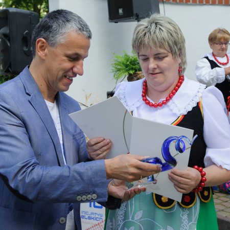 Wyświetl org. rozmiar