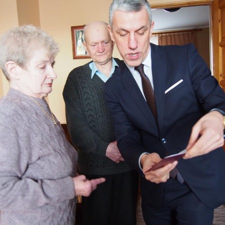 Wyświetl org. rozmiar