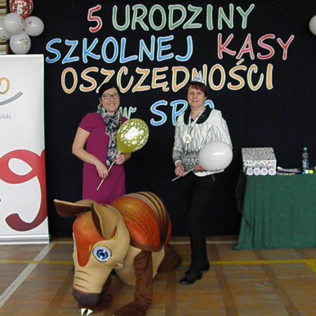 Wyświetl org. rozmiar