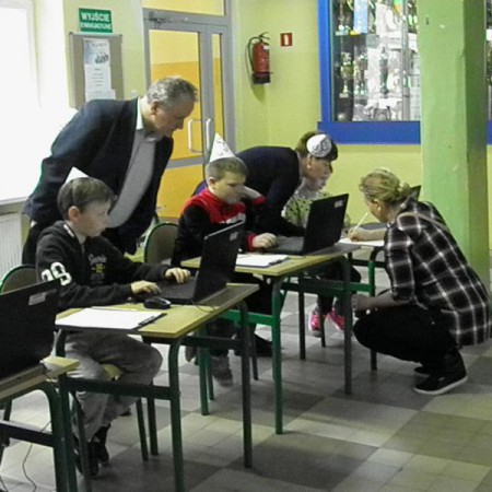Wyświetl org. rozmiar