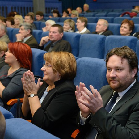 Wyświetl org. rozmiar