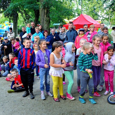 Wyświetl org. rozmiar